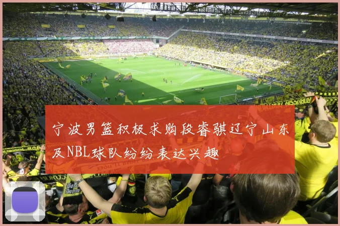 宁波男篮积极求购段睿骐辽宁山东及NBL球队纷纷表达兴趣