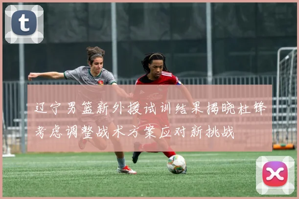 辽宁男篮新外援试训结果揭晓杜锋考虑调整战术方案应对新挑战