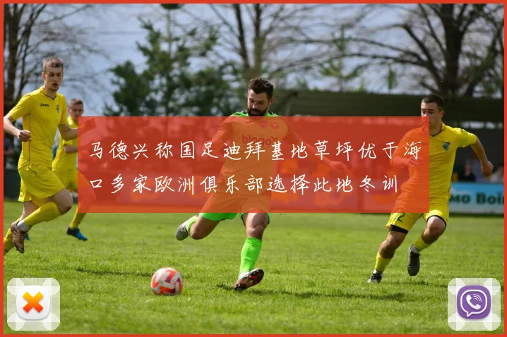 马德兴称国足迪拜基地草坪优于海口多家欧洲俱乐部选择此地冬训