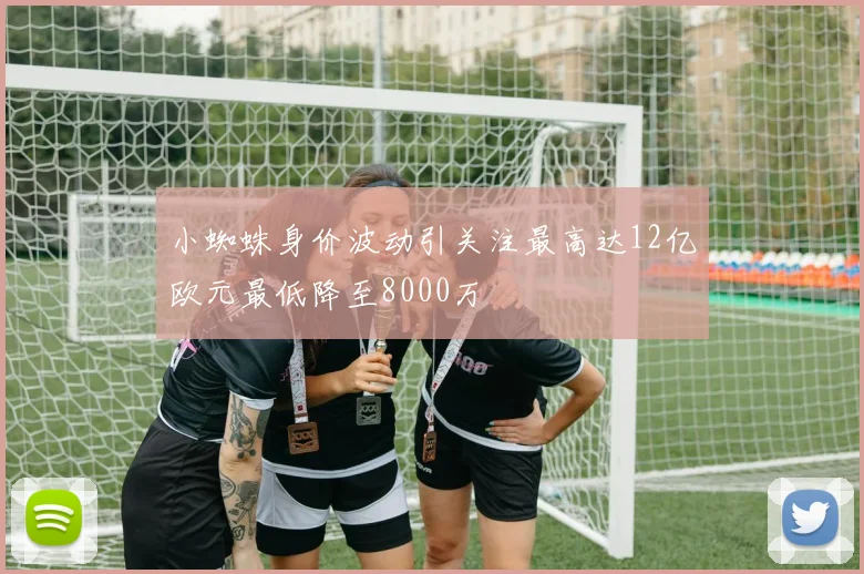 小蜘蛛身价波动引关注最高达12亿欧元最低降至8000万